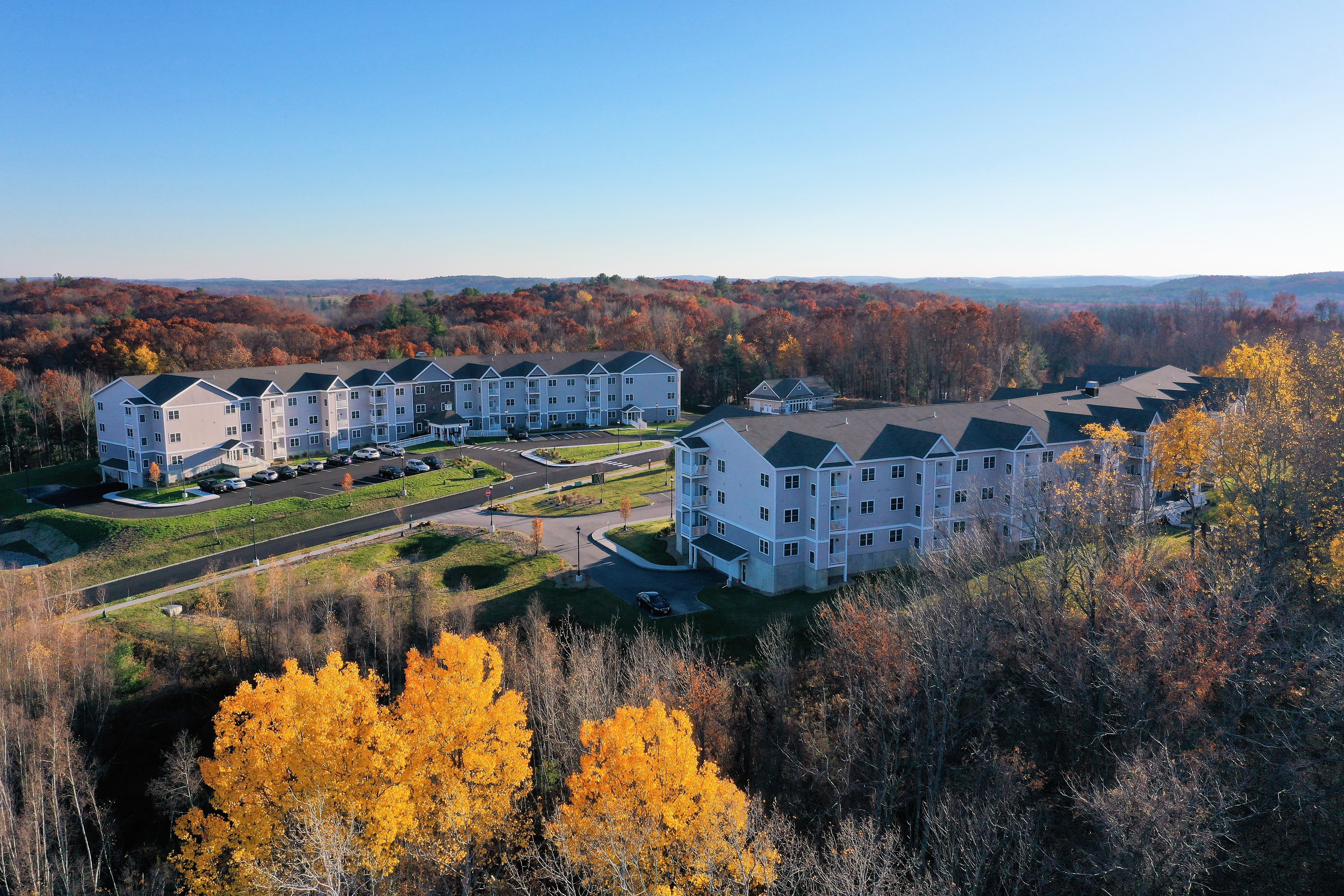 Org 1757b86e71f8d71d 1604951344000 2